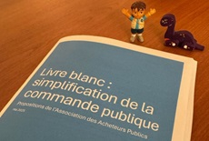 [Interview] Alain Bénard : « Nos propositions de simplification de l'achat public ? D'abord, pour faire émerger d'autres idées ! »